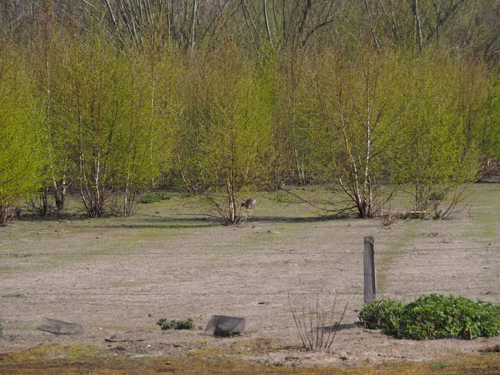 Kalkense Meersen (België)